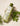 Shampoo Foliage 250 ml – Pulisce, Purifica e Combatte la Forfora con Ingredienti Vegetali Naturali